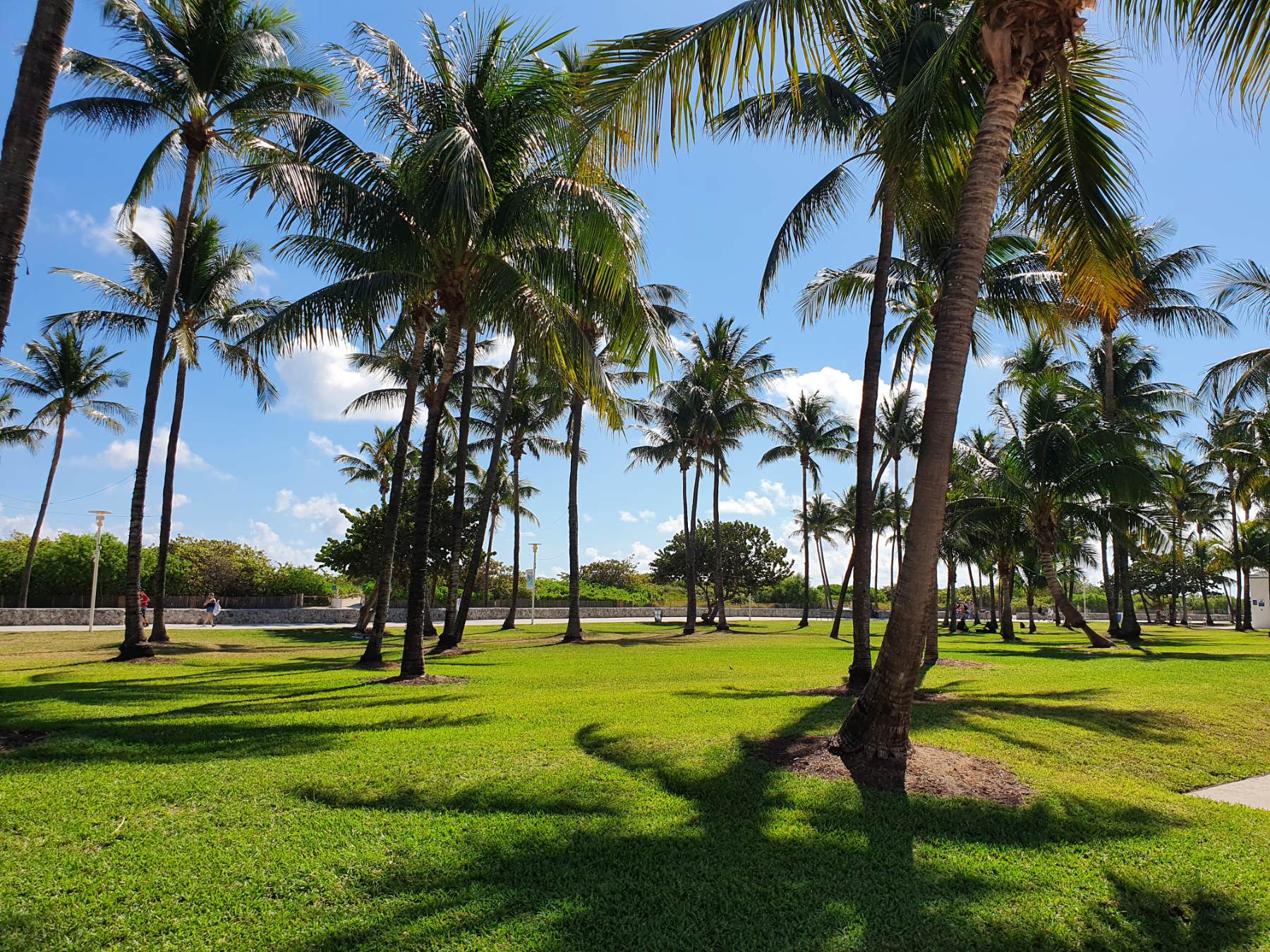 The beautiful Lummus Park in Miami Beach, FL